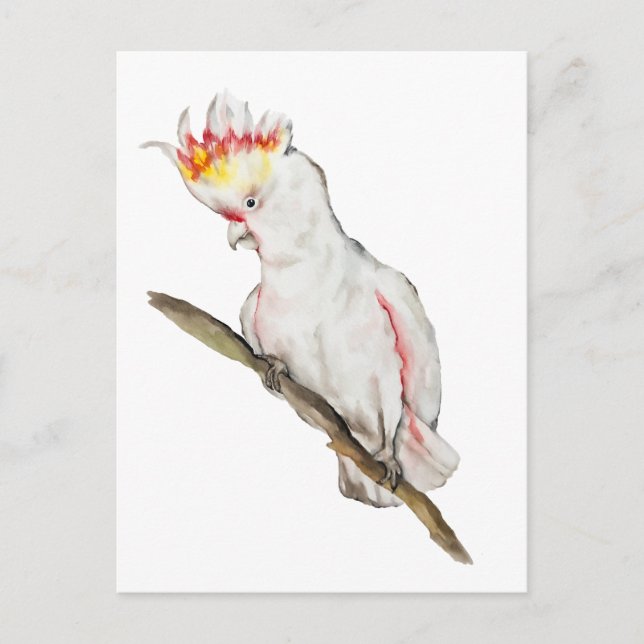 Vattenfärg teckning i en cockatoo-papegoja vykort (Framsida)
