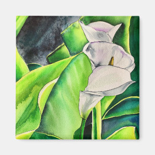 Vattenfärg tropisk blomster Vit Arum-lilja Magnet