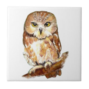 Vattenfärg Uggla Cute Bird art Kakelplatta