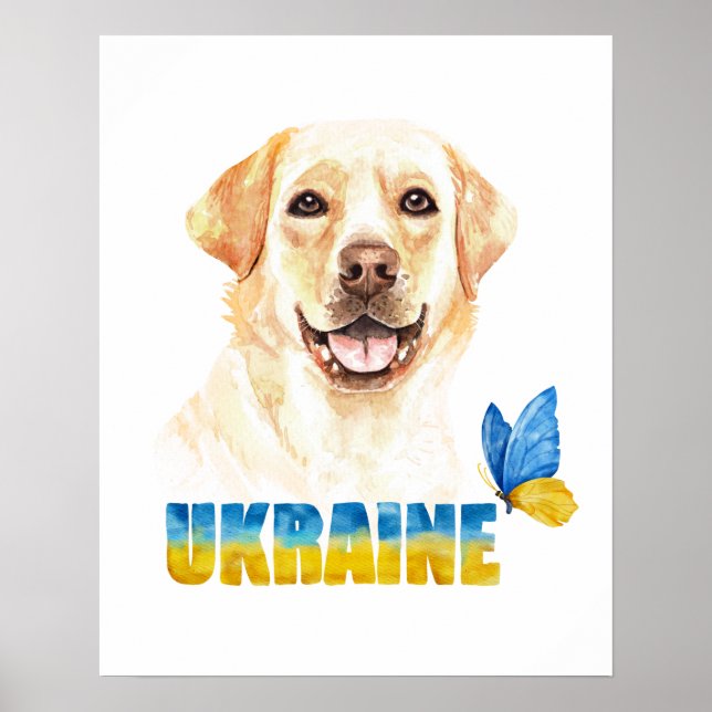Vattenfärg Ukraina Gul lab och fjäril Poster (Framsidan)