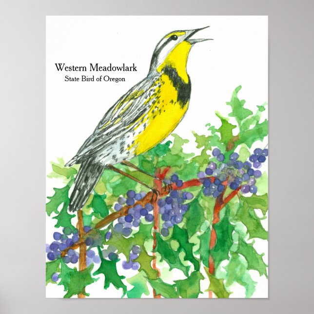 Vattenfärg Western Meadowlark Bird Poster (Framsidan)
