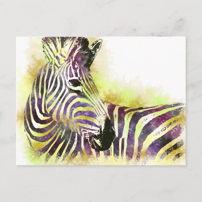 Vattenfärg Zeba Vykort (Framsida)