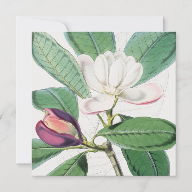 Vattenfärgad botaniskt vit Magnolia & Grönt Löv Julkort (Framsida)