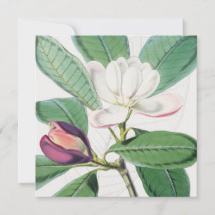 Vattenfärgad botaniskt vit Magnolia & Grönt Löv Julkort