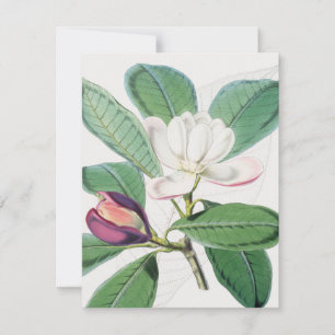 Vattenfärgad botaniskt vit Magnolia & Grönt Löv Julkort