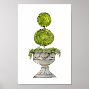 Vattenfärgad boxwood topiary in antique urn poster