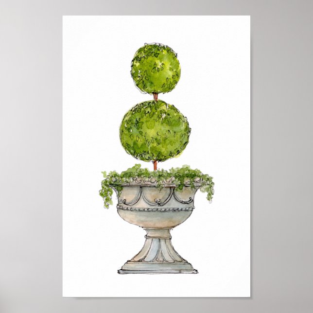 Vattenfärgad boxwood topiary in antique urn poster (Framsidan)