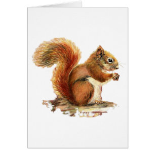 Vattenfärgad Cute Red Squirrel Animal Natur Hälsningskort