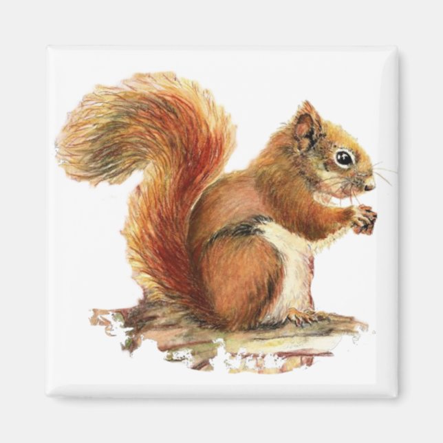 Vattenfärgad Cute Red Squirrel Animal Natur Magnet (Framsidan)