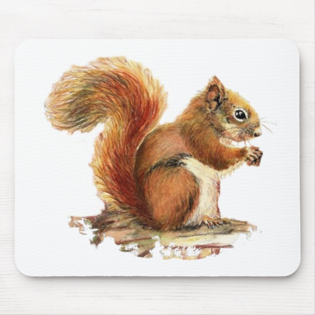 Vattenfärgad Cute Red Squirrel Animal Natur Musmatta (Framsidan)