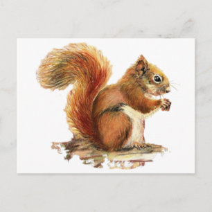 Vattenfärgad Cute Red Squirrel Animal Natur Vykort