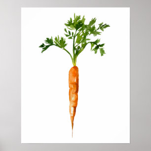 Vattenfärgad ekologisk morot poster