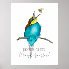 Vattenfärgad fågel (europeisk biätare) poster