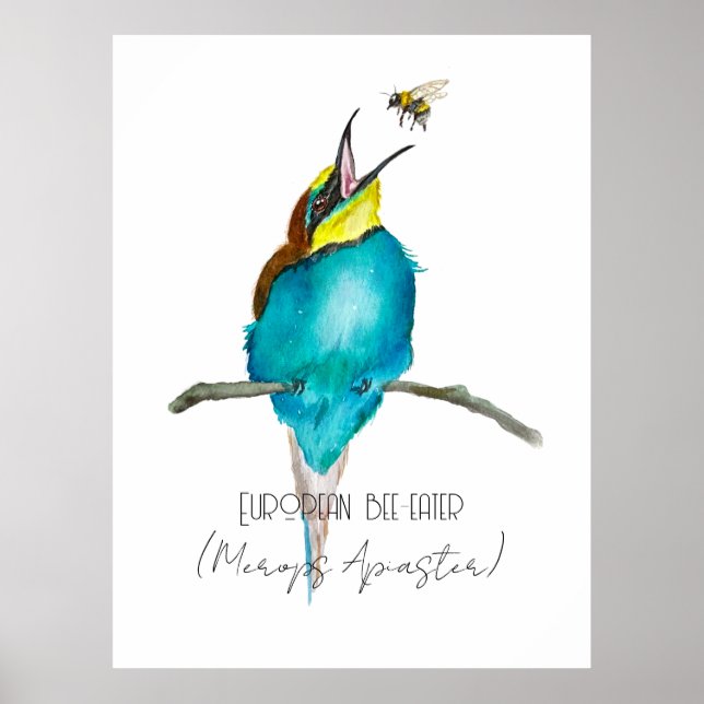 Vattenfärgad fågel (europeisk biätare) poster (Framsidan)