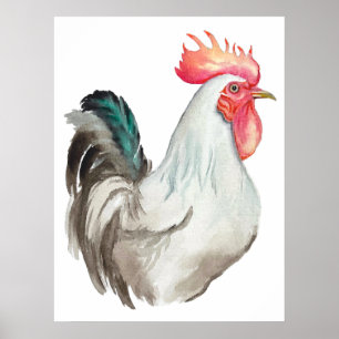 Vattenfärgad hand teckning i Tupp Poster