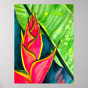 Vattenfärgad heliconia tropiska blommor poster