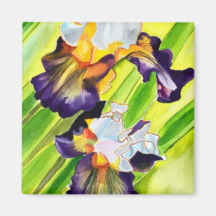 Vattenfärgad iris-blommigt magnet