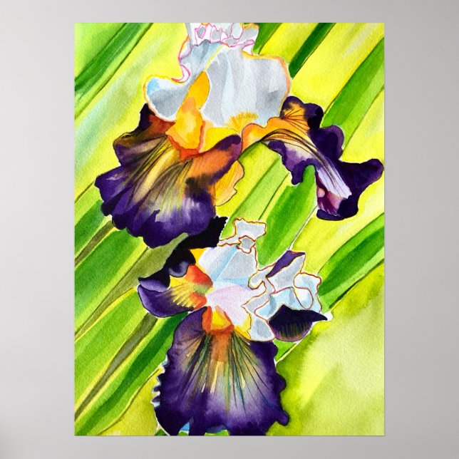 Vattenfärgad iris-blommigt poster (Framsidan)