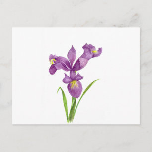 Vattenfärgad Lila Iris botaniska Blommigt Art Vykort