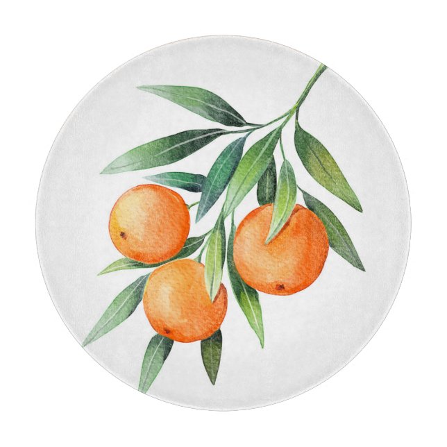 Vattenfärgad Orange Frukt: Grenar isolerad. (Framsidan)