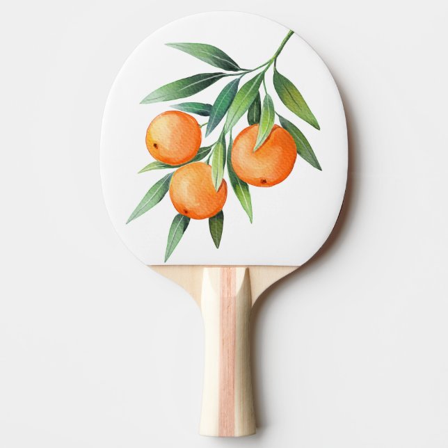 Vattenfärgad Orange Frukt: Grenar isolerad. Pingisracket (Framsidan)