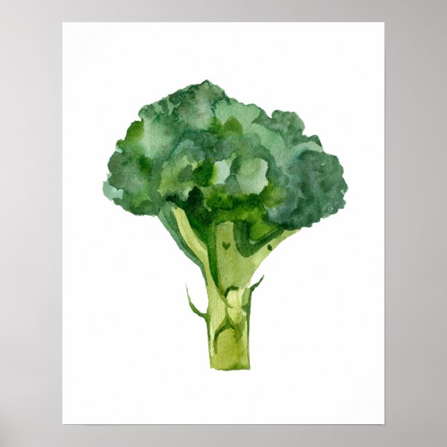 Vattenfärgad organisk raish poster (Framsidan)