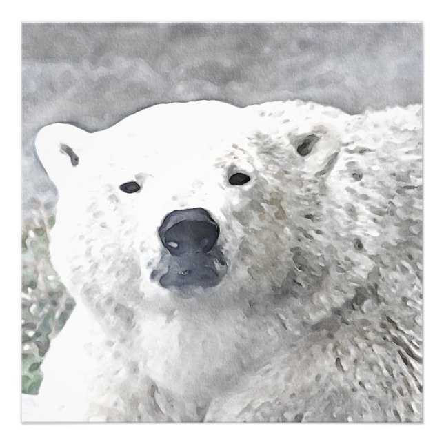 Vattenfärgad Polar Bear Fototryck (Framsidan)