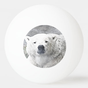 Vattenfärgad Polar Bear Pingisboll