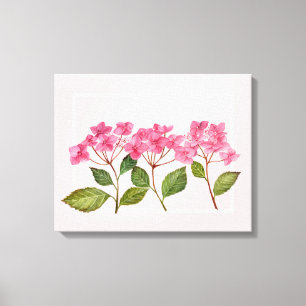 Vattenfärgad Rosa Hydrangea Lacecaps Illustration Canvastryck