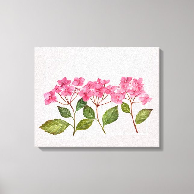 Vattenfärgad Rosa Hydrangea Lacecaps Illustration Canvastryck (Framsida)