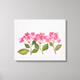 Vattenfärgad Rosa Hydrangea Lacecaps Illustration Canvastryck