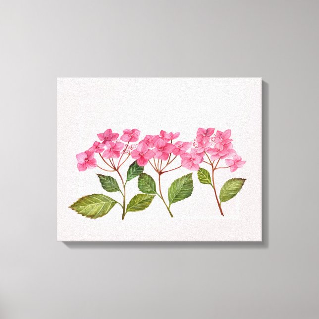 Vattenfärgad Rosa Hydrangea Lacecaps Illustration Canvastryck (Framsida)