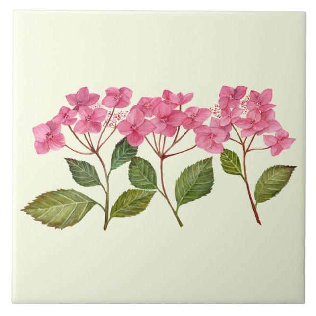 Vattenfärgad Rosa Hydrangea Lacecaps Mönster Kakelplatta (Framsidan)
