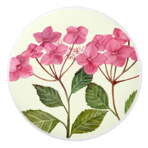 Vattenfärgad Rosa Hydrangea Lacecaps Mönster Knopp
