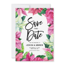 Vattenfärgad Rosa Poinsettia Utandningsvinter