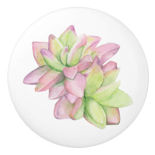 Vattenfärgad Rosa-tippad Succulent Knopp
