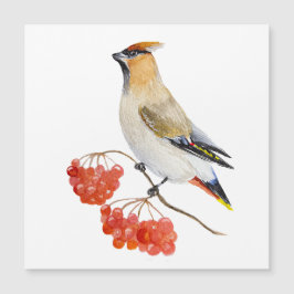 Vattenfärgad skogsfågel som vaxar