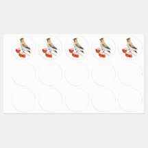 Vattenfärgad skogsfågel som vaxar