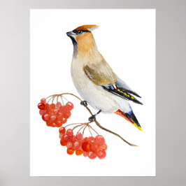 Vattenfärgad skogsfågel som vaxar poster