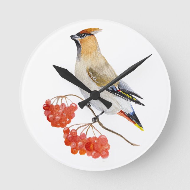 Vattenfärgad skogsfågel som vaxar rund klocka (Framsida)