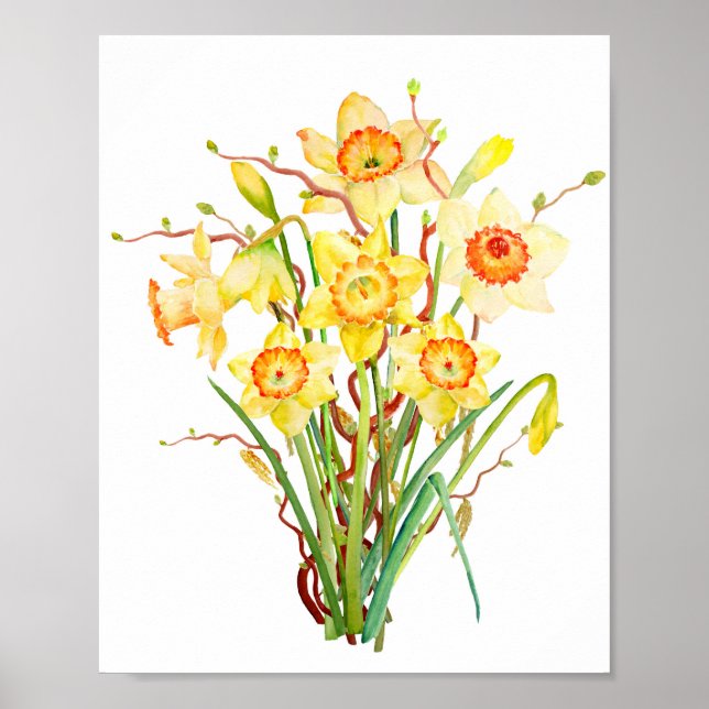 Vattenfärgad vår-blomdaffodil poster (Framsidan)