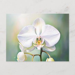 Vattenfärgad vit Orchid med ömtålig Petals Vykort