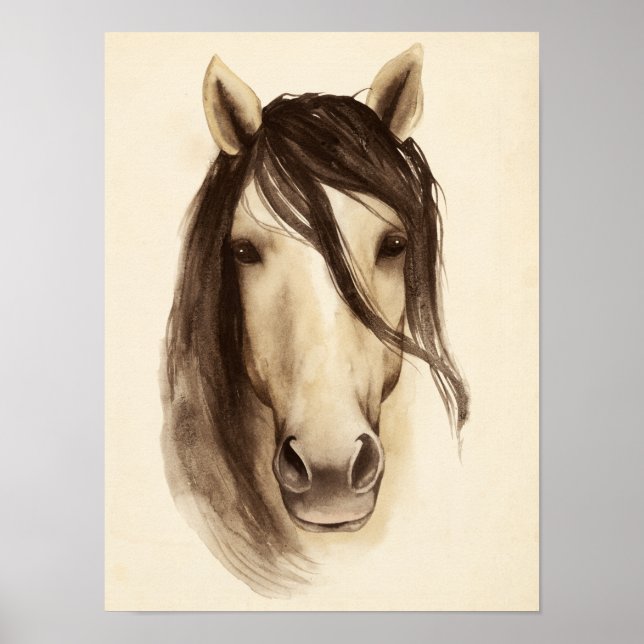 Vattenfärgade Barn Animals | Häst Poster (Framsidan)