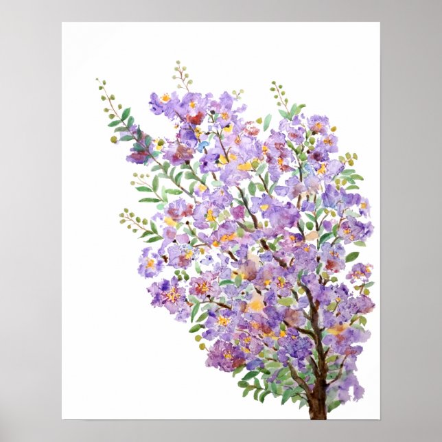 Vattenfärgade blommor av lila rapsmyrtin poster (Framsidan)
