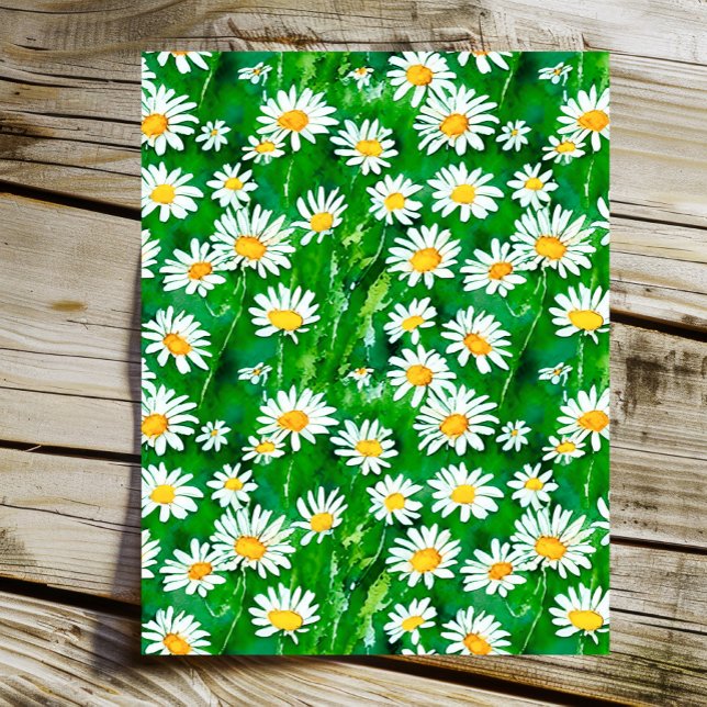 Vattenfärgade Daisy i Grönt Fält (Skapare uppladdad)