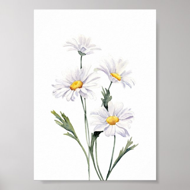 Vattenfärgade Daisy Poster (Framsidan)