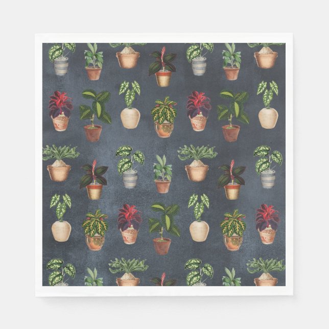 Vattenfärgade kröda växter Terracotta Pots Rustic Pappersservett (Framsidan)