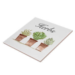 Vattenfärgade Örter Thyme Rosemary Parsley Plants Kakelplatta