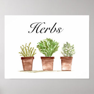Vattenfärgade Örter Thyme Rosemary Parsley Plants Poster
