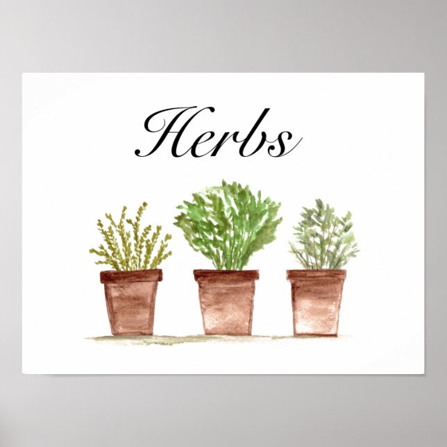 Vattenfärgade Örter Thyme Rosemary Parsley Plants Poster (Framsidan)